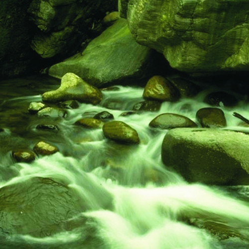 A Natureza e a Cura